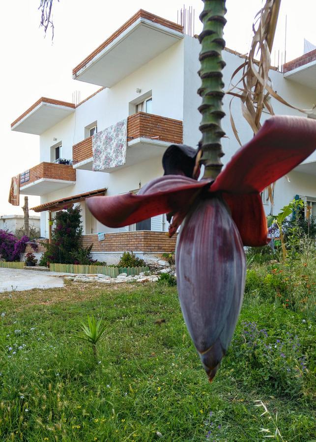 Penelope'S Rooms Dhërmi Exteriér fotografie
